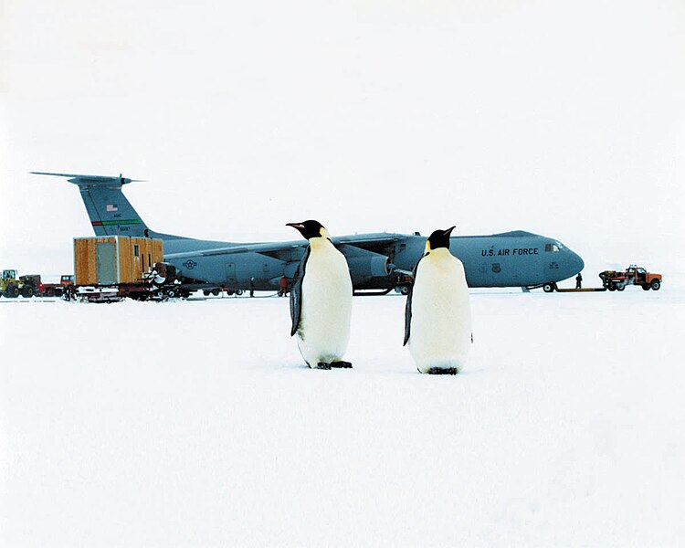 File:C-141 Starlifter with penguins.jpg