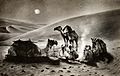 COLLECTIE TROPENMUSEUM Mannen in de avonduren met kamelen rond een kampvuur in de woestijn TMnr 60056148.jpg