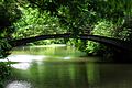 Vogelbrücke in the Volksgarten