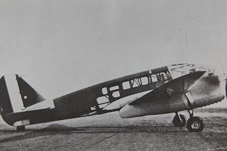 Caproni_Ca.313