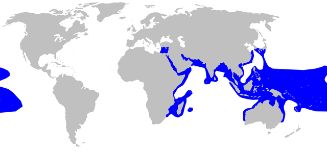 Description de l'image Carcharhinus melanopterus distmap.png.