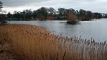 Carlingwark Loch - geograph.org.inggris - 1180333.jpg