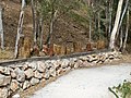 Tocones de árboles tallados por Manuel Ledesma junto al arroyo del Calvario, 2021-10-11.