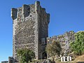 Miniatura para Castillo de Monleón