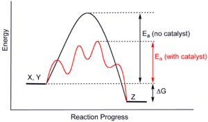 Computational Chemistry