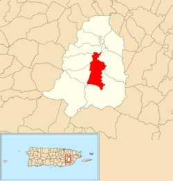 Cayaguas, San Lorenzo, Puerto Rico locator map.png