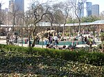 Zoo de Central Park