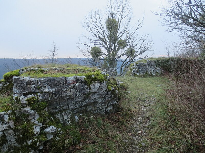 File:Château de Vergy 022.JPG