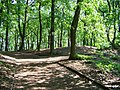 Čeština: Chlumec, okres Ústí nad Labem. Rozcestí Pod Horkou. English: Chlumec, Ústí nad Labem District, Ústí nad Labem Region, Czech Republic. Horka hill, Pod Horkou crossroad. Camera location 50° 42′ 03.2″ N, 13° 56′ 36.2″ E    View all coordinates using: OpenStreetMap