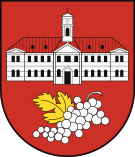 Coat of Arms of Nové Mesto.svg