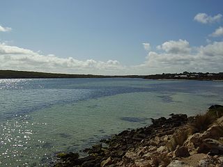 <span class="mw-page-title-main">Coffin Bay</span> Town in South Australia