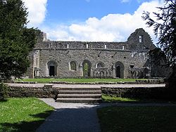 Ruine der Cong Abbey (Gartenansicht)