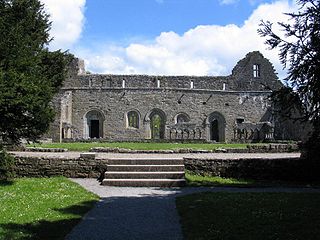 <span class="mw-page-title-main">Cong Abbey</span> Historic site in County Mayo, Ireland