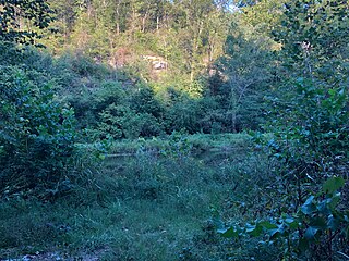 Coon Creek (Lake Taneycomo) watercourse in the United States of America