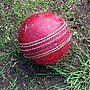 Thumbnail for Cricket diplomacy