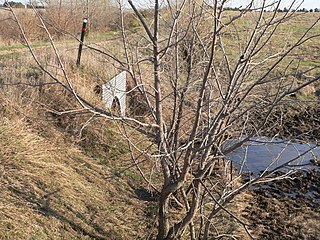 <span class="mw-page-title-main">Bridge (Royal, Nebraska)</span> United States historic place