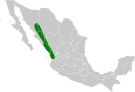 Área de distribución de Cyanocorax beecheii