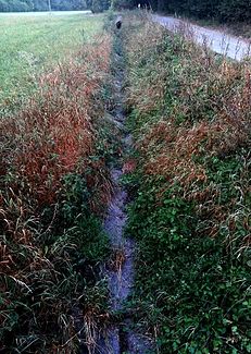 Dried out bed east of Heimerdingen