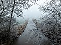 * Nomination Stream “Kettbach” in the Börnste hamlet at the blue hour, Kirchspiel, Dülmen, North Rhine-Westphalia, Germany --XRay 04:33, 24 December 2021 (UTC) * Promotion  Support Good quality -- Johann Jaritz 04:54, 24 December 2021 (UTC)