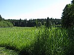 Gemsenweiher (Naturschutzgebiet)