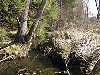 D-BY-Wasserburg aB - Wetland complex 'Wiesenreute' south-east of Kuemmertsweiler.JPG