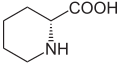 Deutsch: Struktur von D-Pipecolinsäure (D-Homoprolin) English: Structure of D-Pipecolic acid (D-Homoproline)