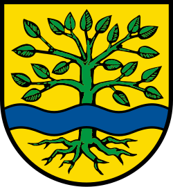 Wappen Ammerbuch.svg