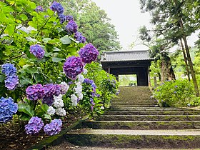 大中寺