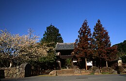 甲府市 大泉寺: 沿革, 富士見池の伝承, 文化財