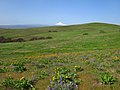 Dalles Mountain Ranch at Columbia Hills State Park in Washington 1.jpg