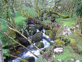 River Wallabrooke River on Dartmoor in Devon, England