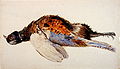 Dead Pheasant, 1867