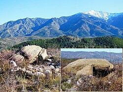 Illustrativt billede af artiklen Dolmen du Serrat d'en Papegøje