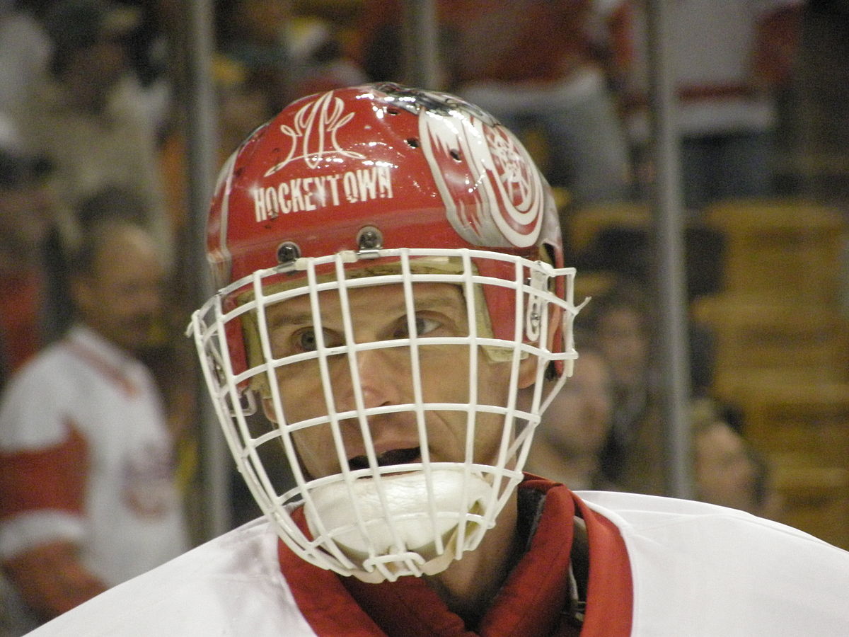 Dominik Hasek Wikidata