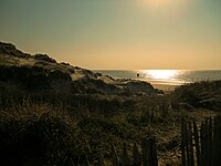 Duinen in Eco