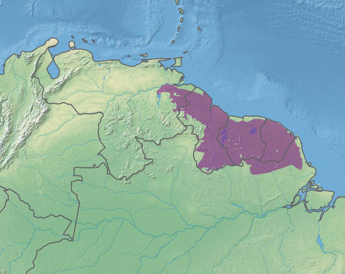 File:Ecoregion NT0125.svg