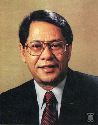 <span class="mw-page-title-main">Edgardo Angara</span>President of the Senate of the Philippines from 1993 to 1995