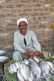An Egyptian fisherman on a street market Egypt man fish.jpg