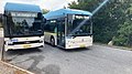 Aalborg har fået nye bybusser. Van Hool og Golden Dragon Elektriske bybusser