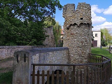 Elftausend Maegde Turm Stadecken Elsheim 4