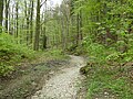 Naturschutzgebiet Osternheuland – In den Erlen