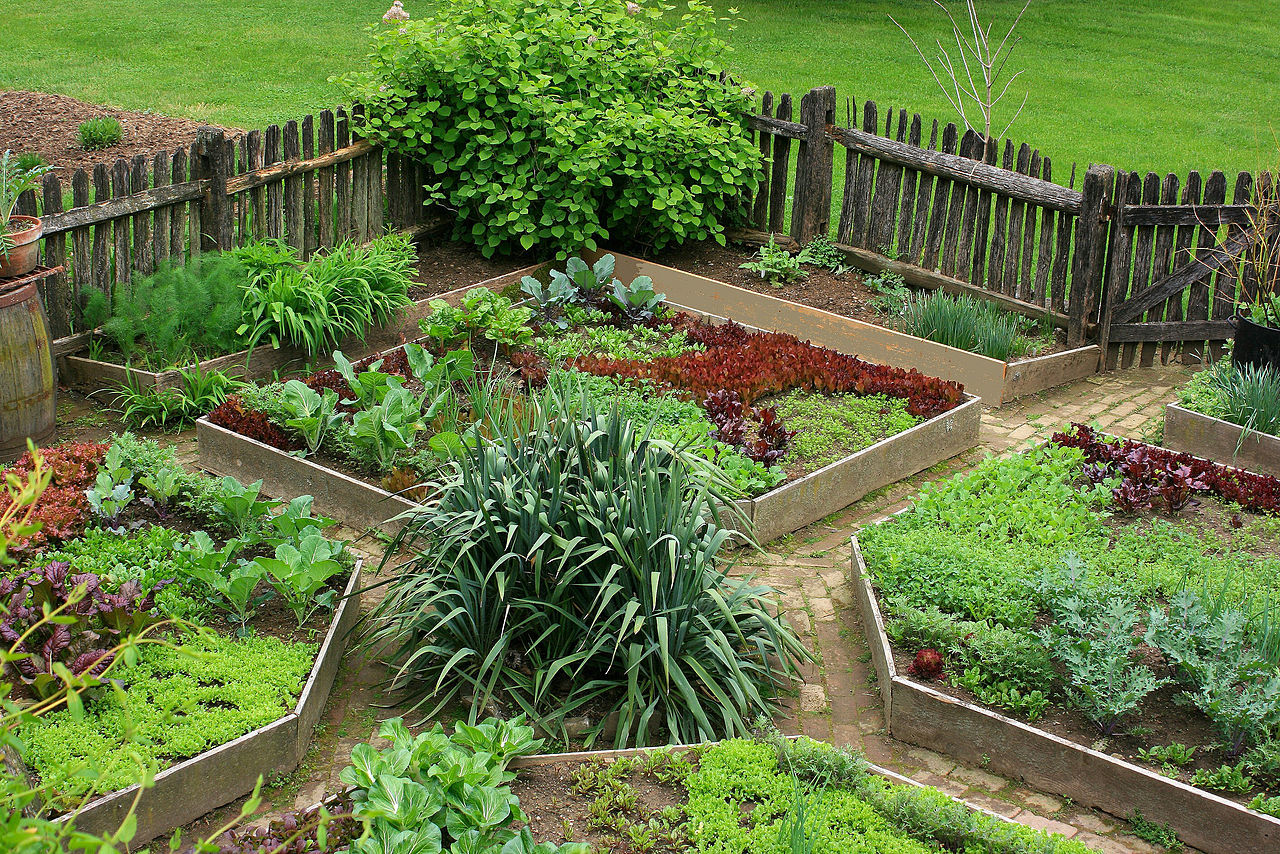 Raised-bed gardening - Wikipedia