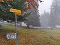 wikimedia_commons=File:Fingerpost Mont de Baulmes east2 2021-11-14.jpg