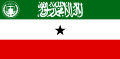 Flag of the President of Somaliland.svg