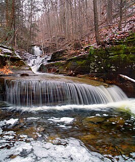 Blackberry Run