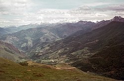 Forêt d'Iraty-Col d'Orgambidesca-1964.jpg
