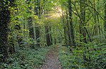 Vignette pour Sentier de grande randonnée 129