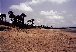 Gambia 116 from KG.jpg