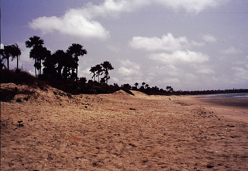 File:Gambia 116 from KG.jpg