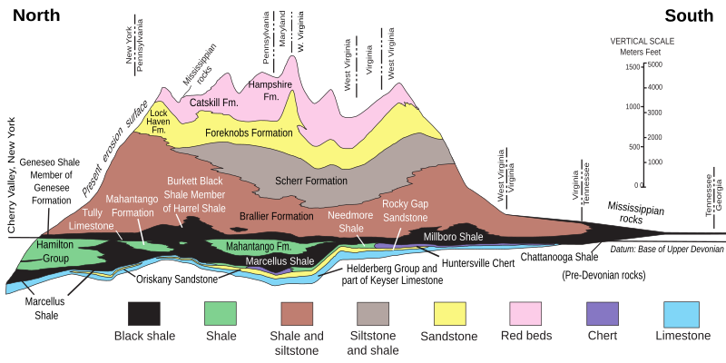 File:Geologic cross section of Devonian strata from New York to Alabama.svg